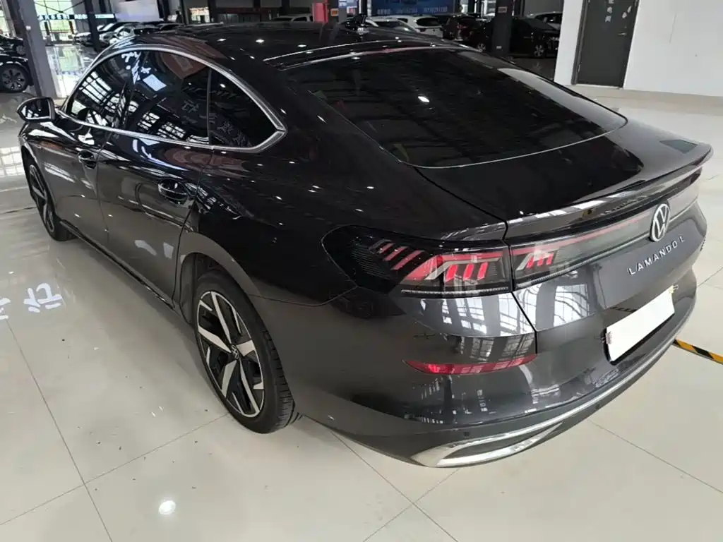 Volkswagen Lamando — миниатюра 4
