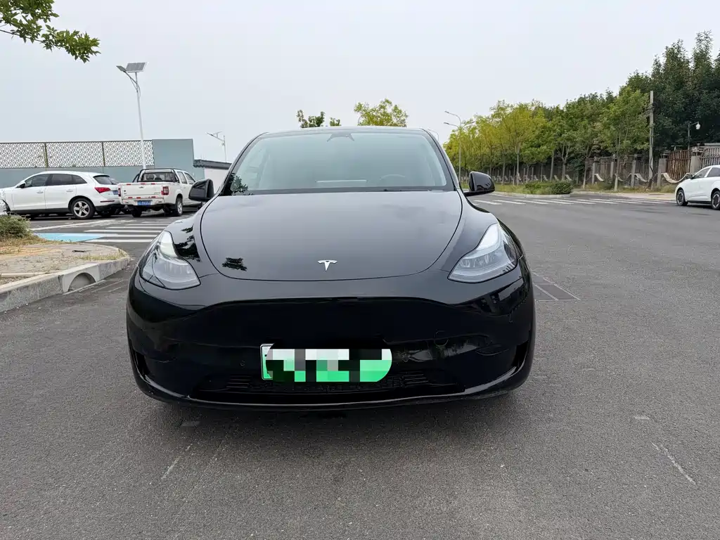Tesla Model Y — миниатюра 6