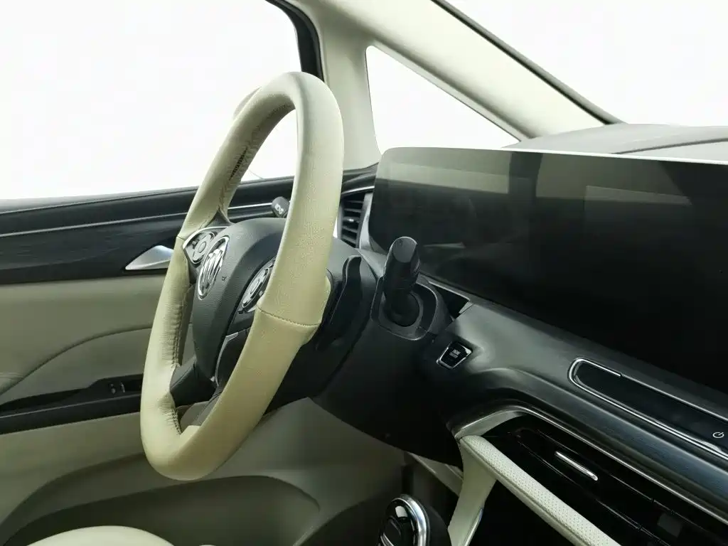 Buick GL8 — миниатюра 22