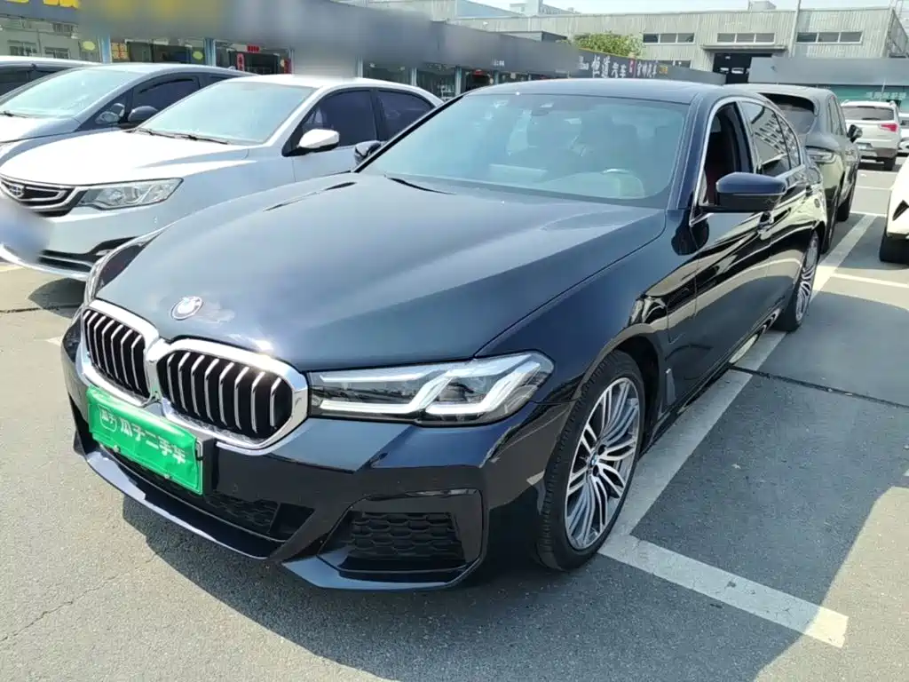 BMW 5 Series New Energy — миниатюра 2