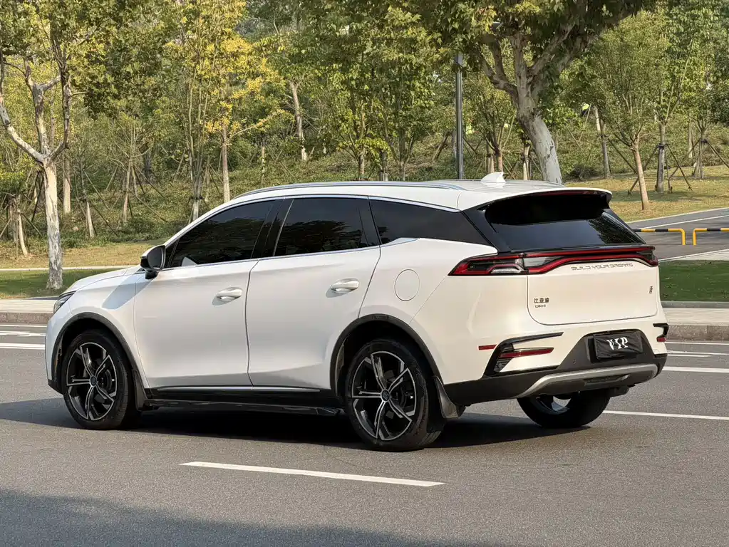 BYD Tang New Energy — миниатюра 11