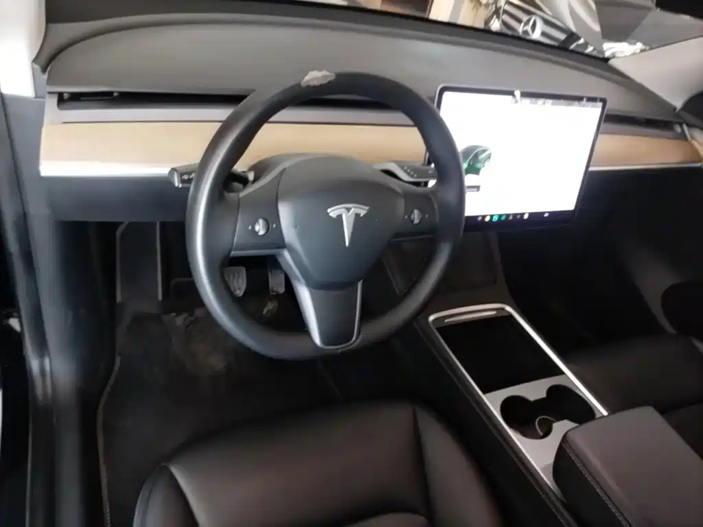Tesla Model Y — миниатюра 10