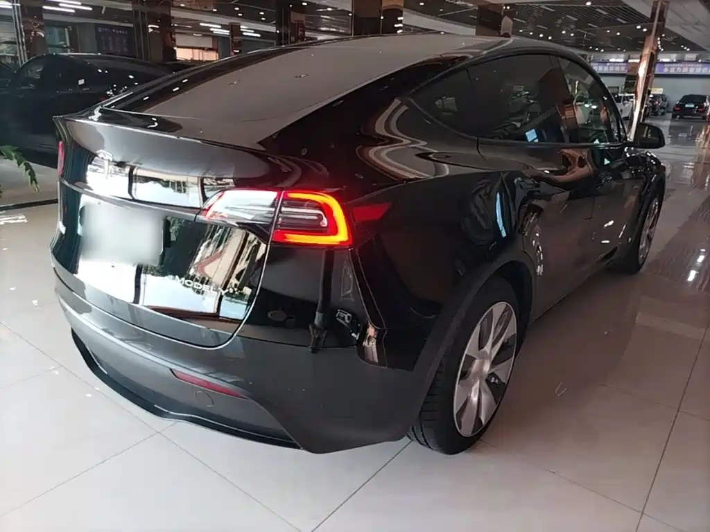 Tesla Model Y — миниатюра 7