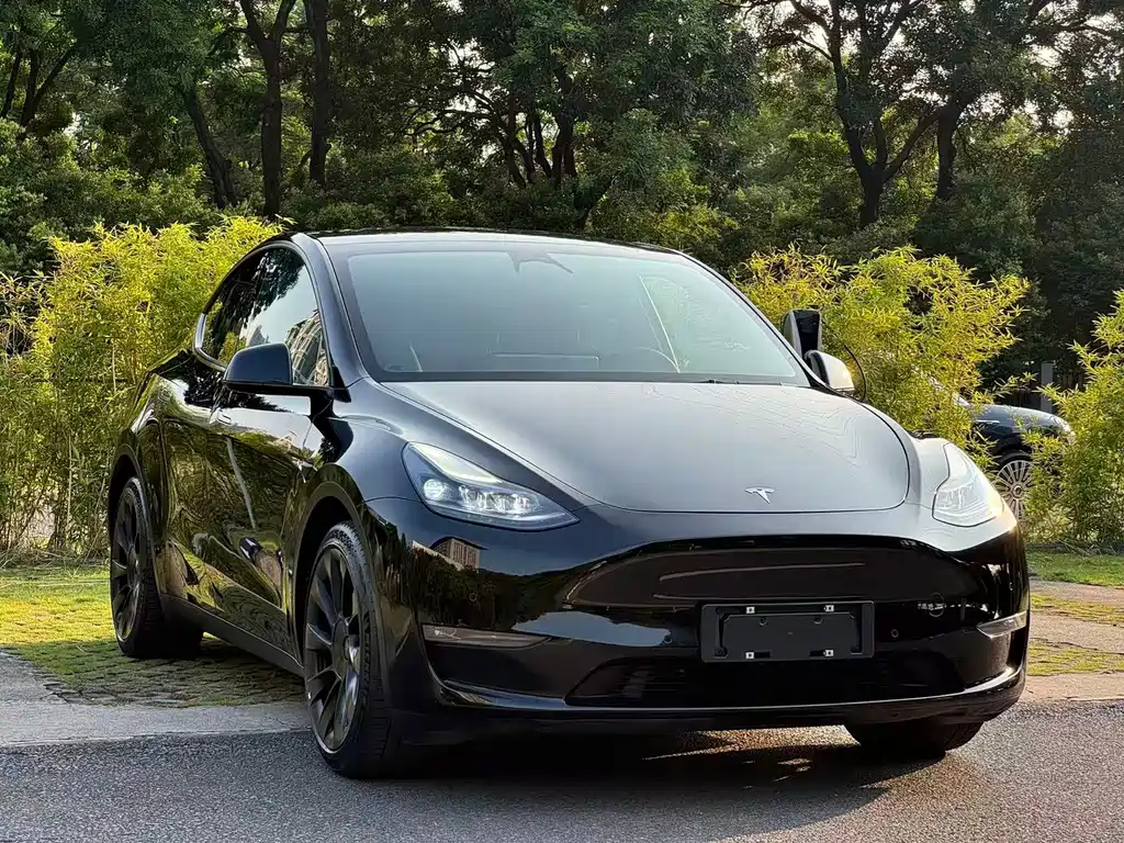 Tesla Model Y — миниатюра 3