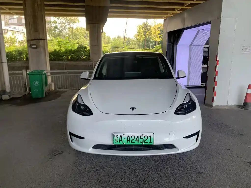 Tesla Model Y — миниатюра 2
