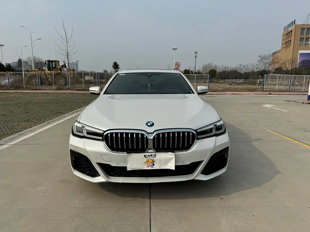 BMW 5 Series — миниатюра 2