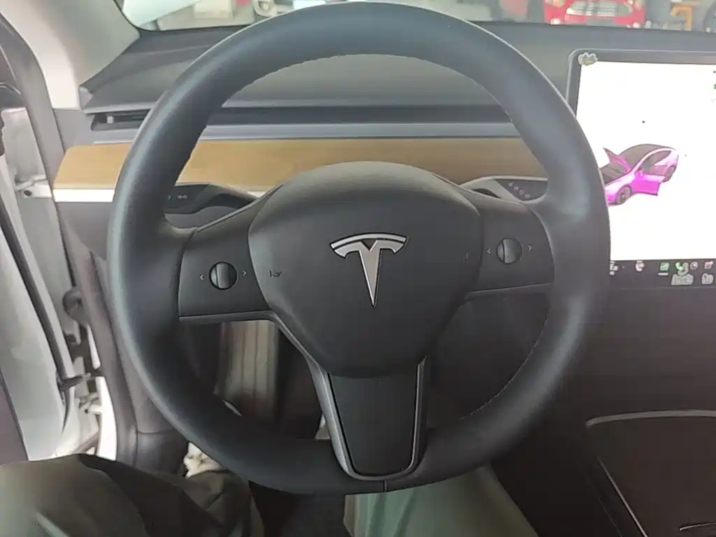 Tesla Model Y — миниатюра 11