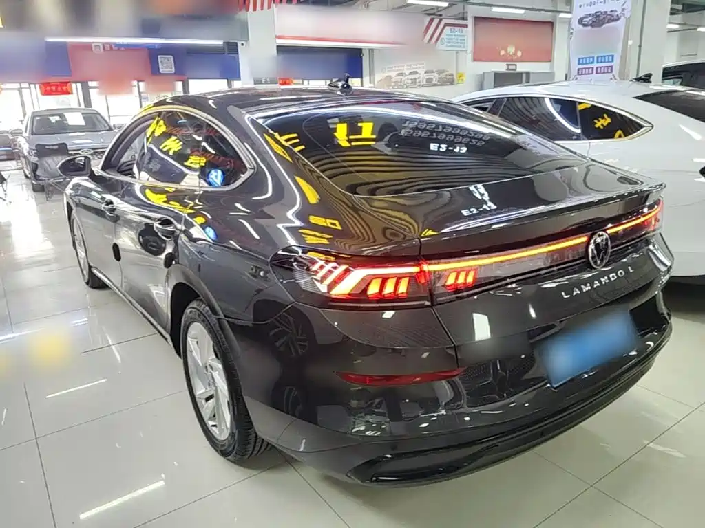 Volkswagen Lamando — миниатюра 5