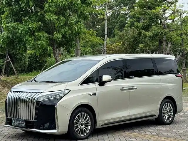 2024 Wey Gaoshan