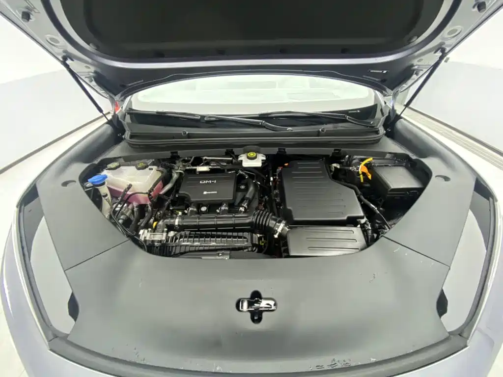 BYD Sealion 06 — миниатюра 12