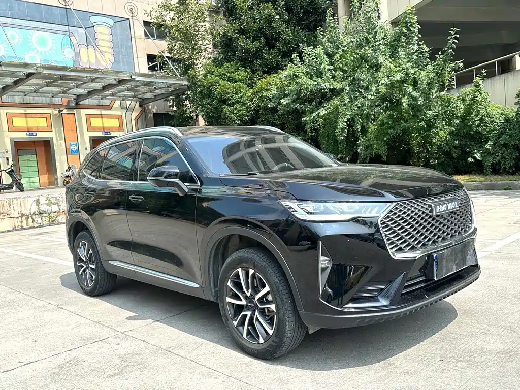 Haval H6 — миниатюра 2