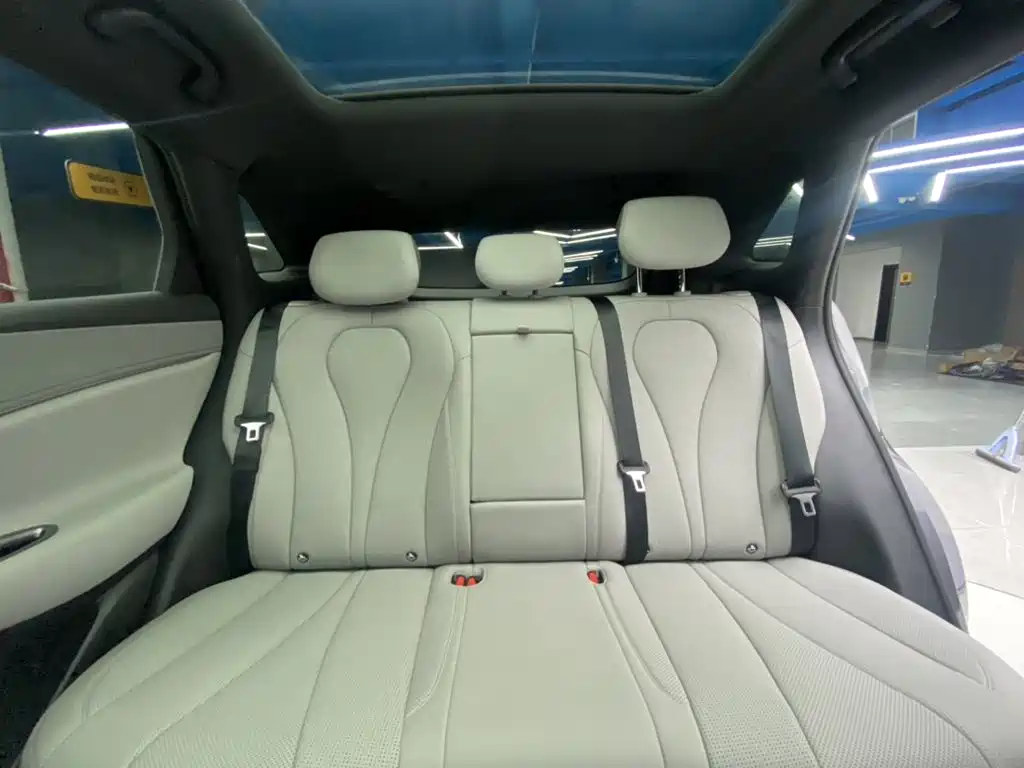 BYD Sealion 06 — миниатюра 25