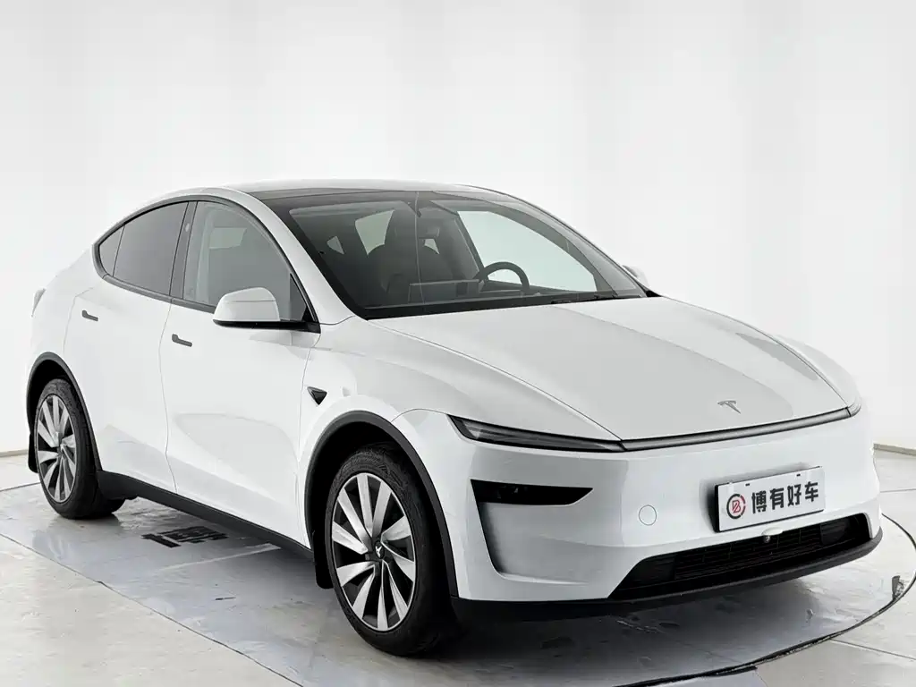 Tesla Model Y — миниатюра 16