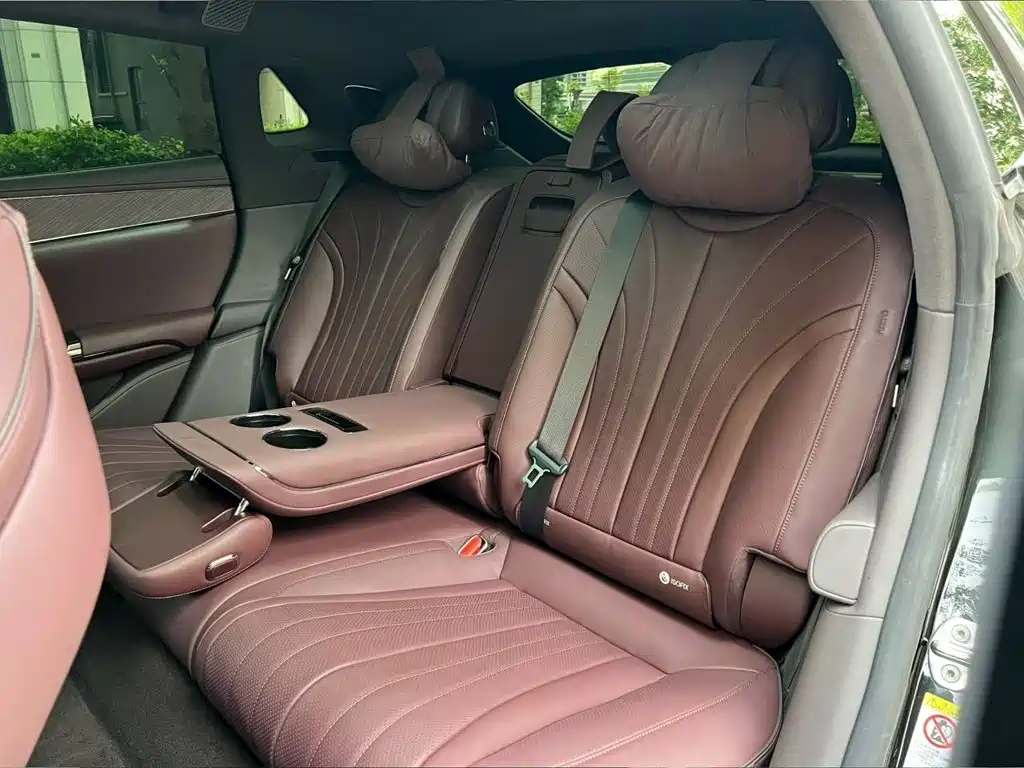 Denza Denza Z9GT — миниатюра 11