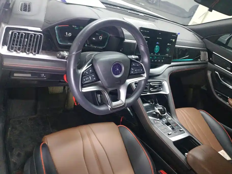 BYD PLUS — миниатюра 12