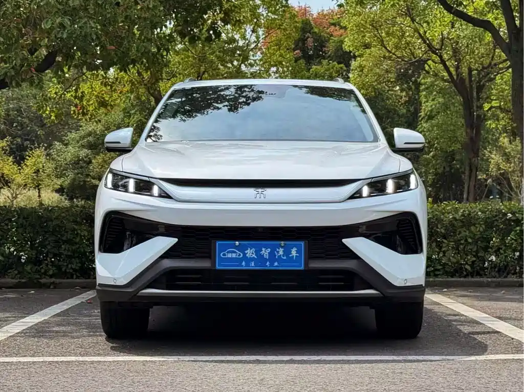 BYD Pro New Energy — миниатюра 2