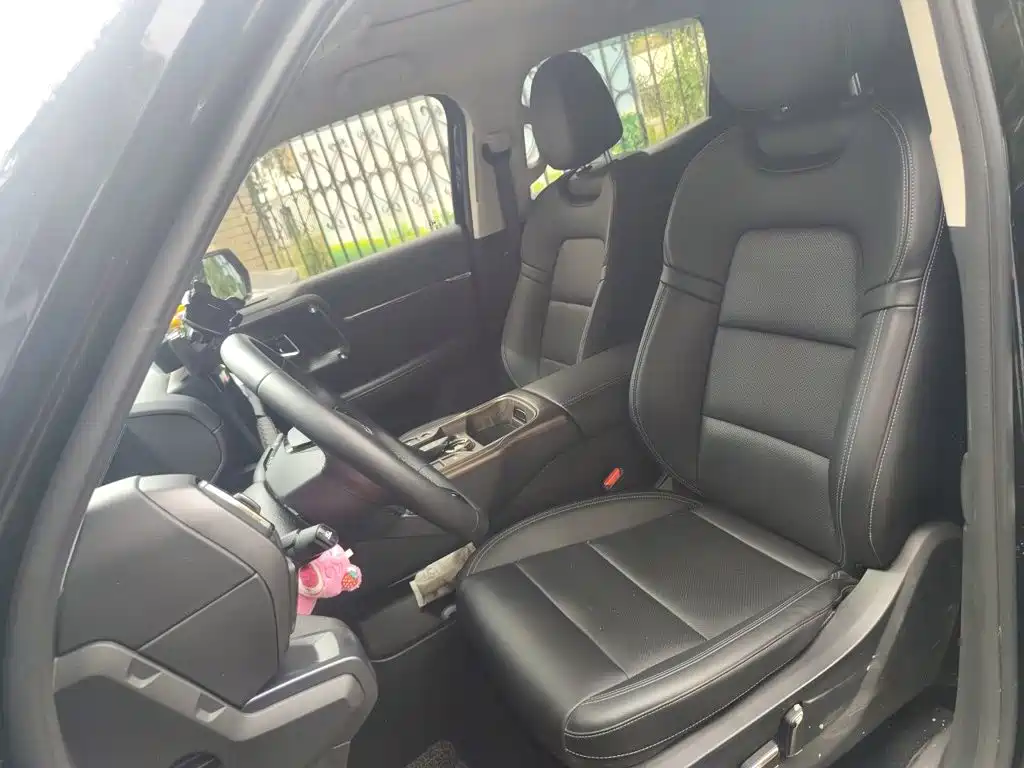 Haval Big Dog PLUS New Energy — миниатюра 12
