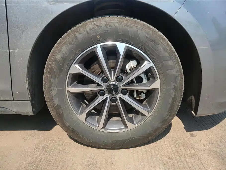 BYD Destroyer 05 2024 DM-i 55KM Luxury