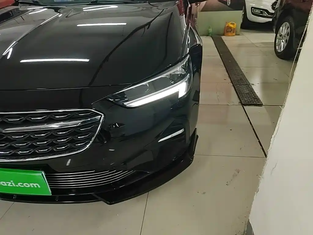 Buick Regal — миниатюра 24