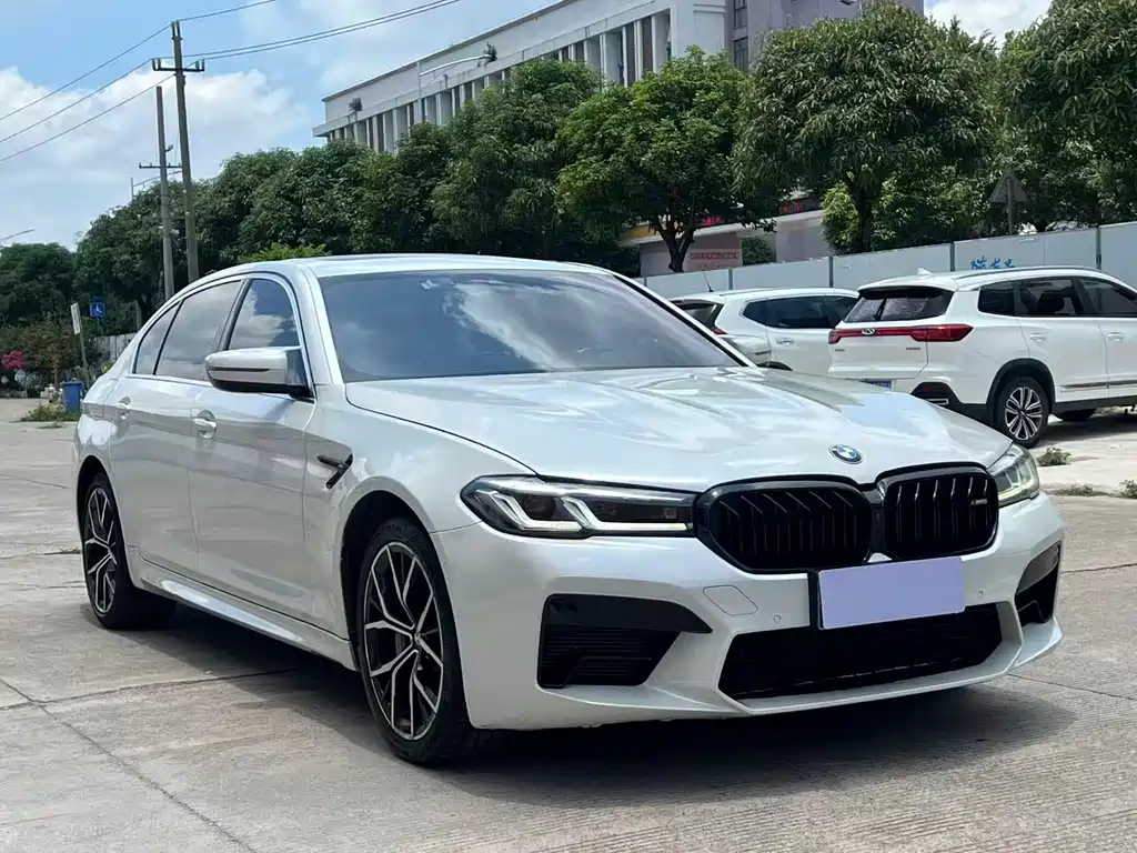 BMW 5 Series — миниатюра 3