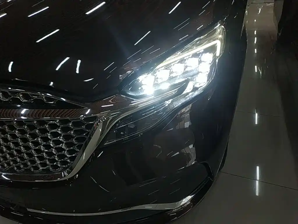 Buick GL8 — миниатюра 24