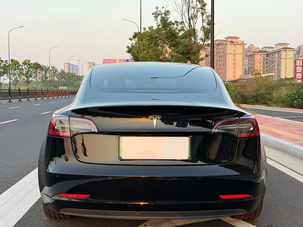 Tesla Model 3 — миниатюра 5