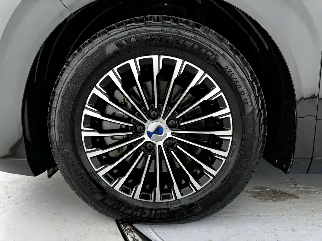 Denza Denza D9 — миниатюра 17
