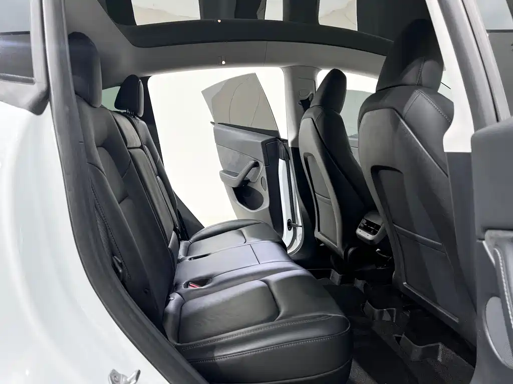 Tesla Model Y — миниатюра 10