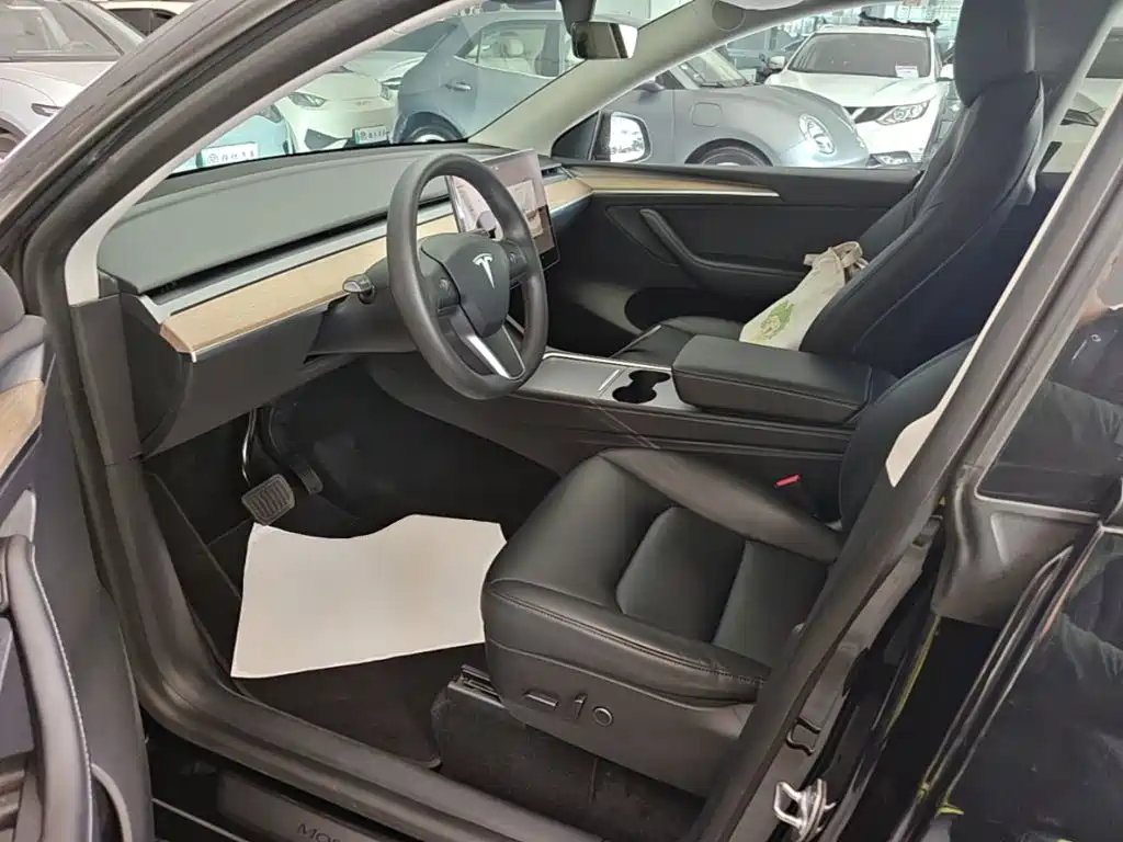 Tesla Model Y — миниатюра 15