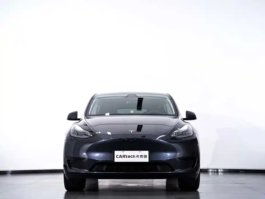 Tesla Model Y — миниатюра 4