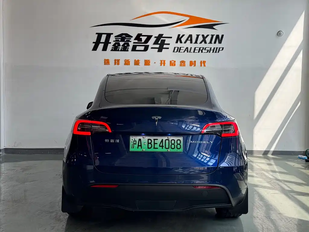 Tesla Model Y — миниатюра 5
