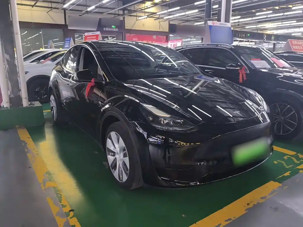 Tesla Model Y — миниатюра 4
