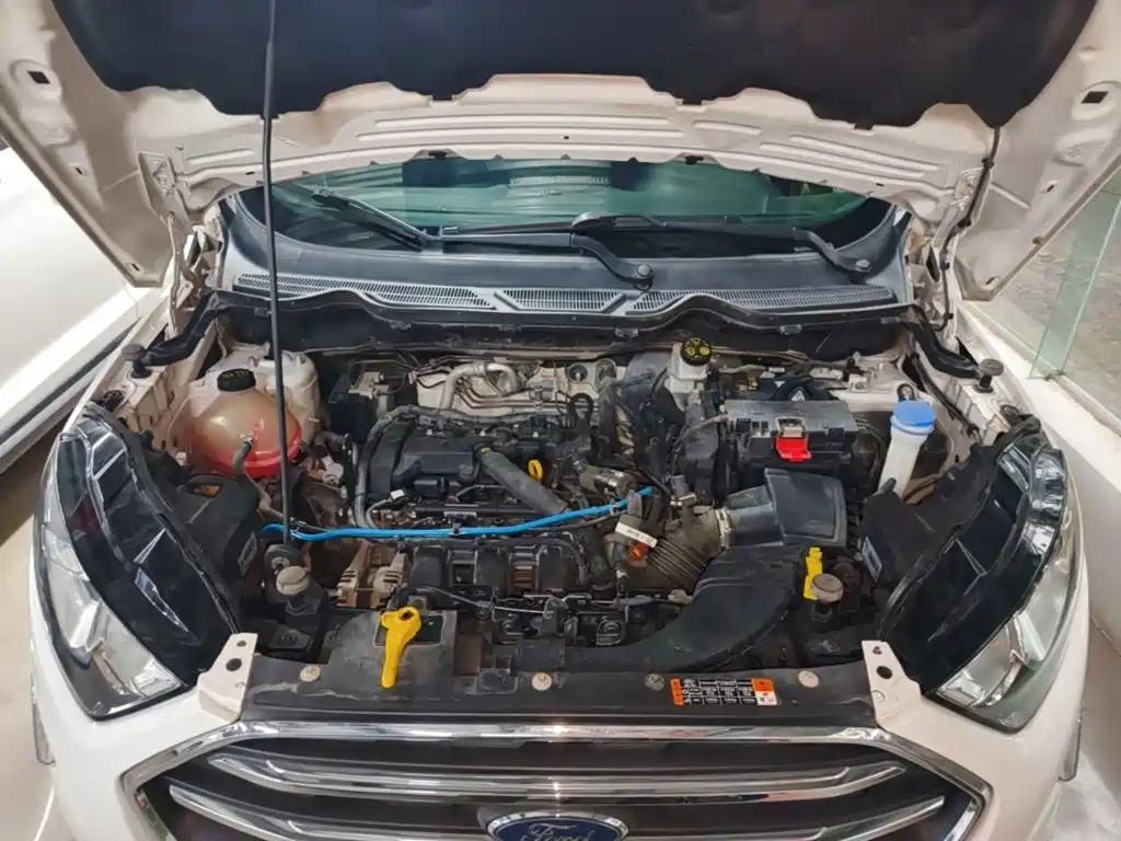 Ford Ecosport — миниатюра 20