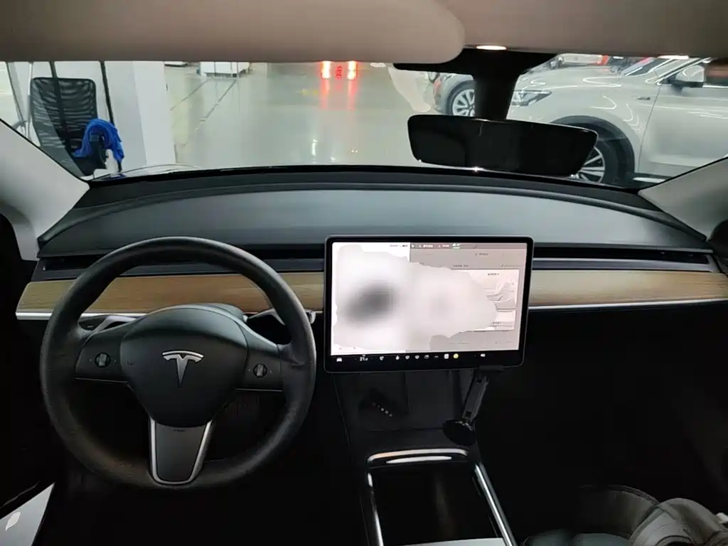 Tesla Model Y — миниатюра 10