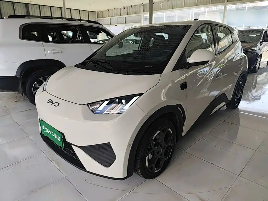 BYD Seagull
