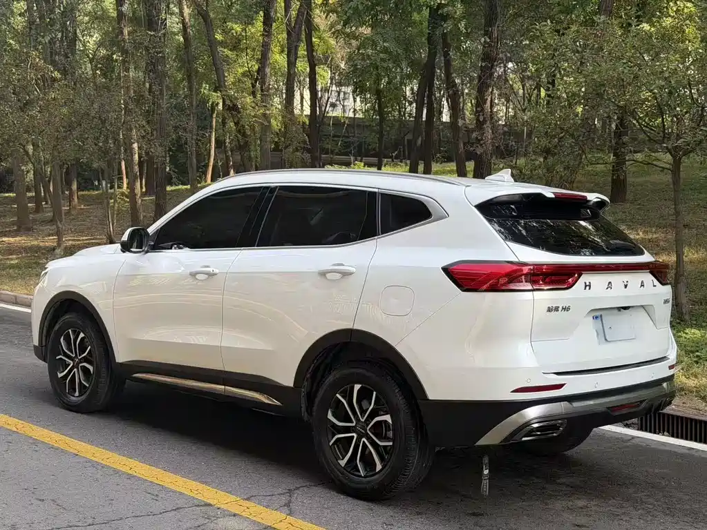 Haval H6 — миниатюра 2