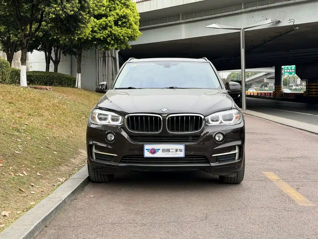 BMW X5 (Import) — миниатюра 2