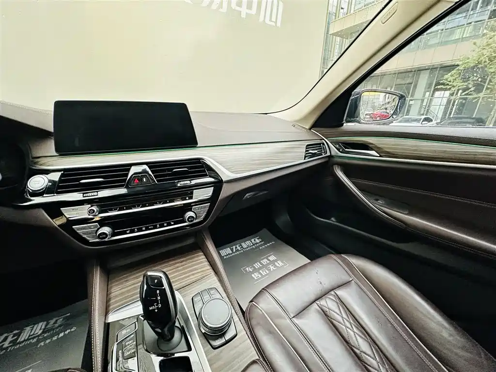 BMW 5 Series New Energy 530Le Luxury Package, фото 14