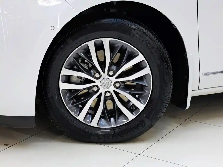 Buick GL8 — миниатюра 13