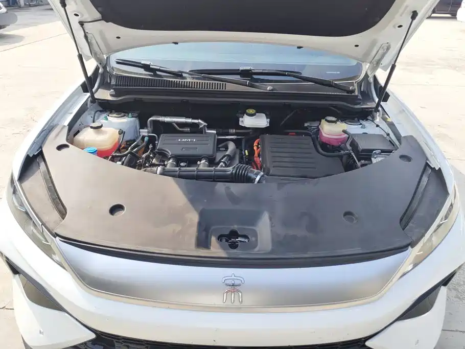 BYD Pro New Energy — миниатюра 10