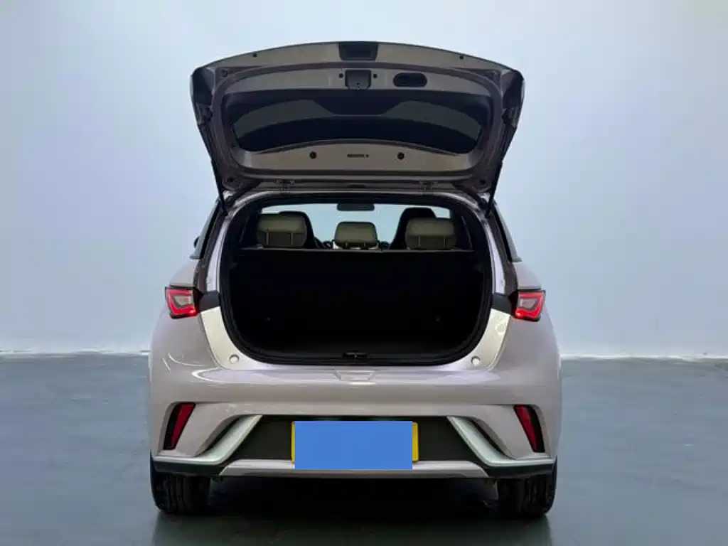 BYD Dolphin — миниатюра 12