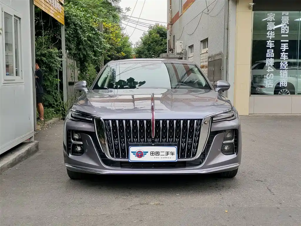 Hongqi H5 2023 2.0T AT