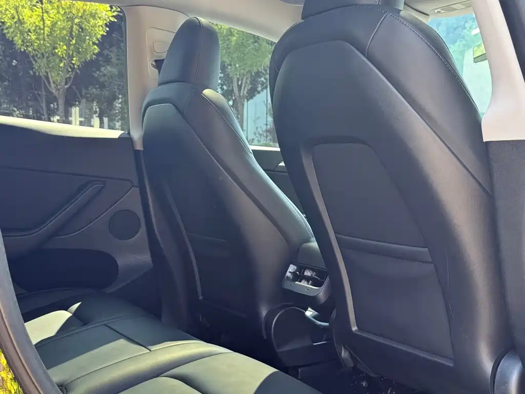 Tesla Model Y — миниатюра 16