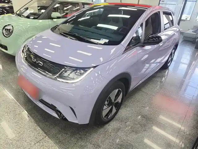 2024 BYD Dolphin