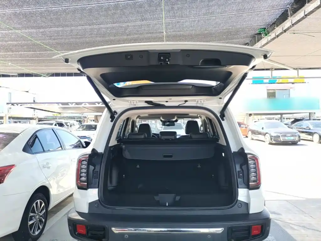 Haval Big Dog — миниатюра 19