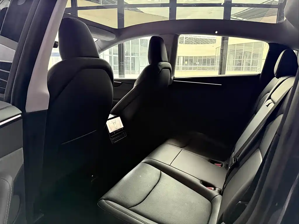 Tesla Model Y — миниатюра 10