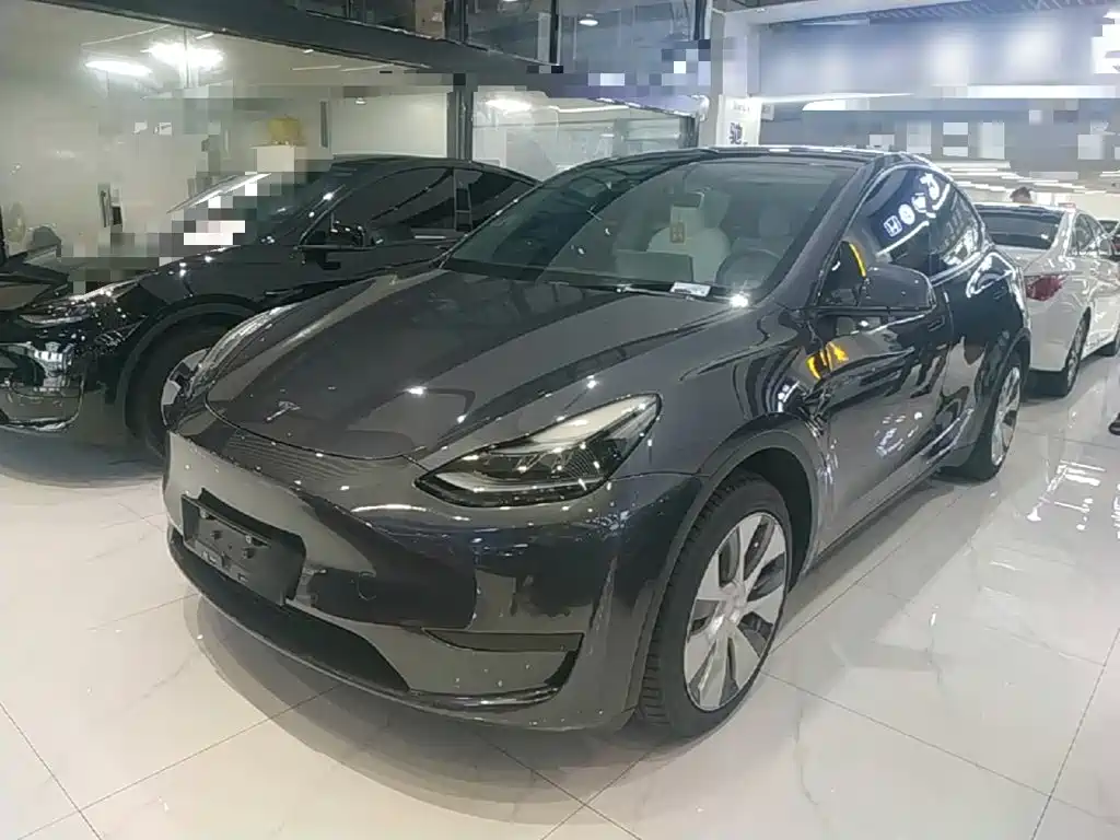 Tesla Model Y — миниатюра 2