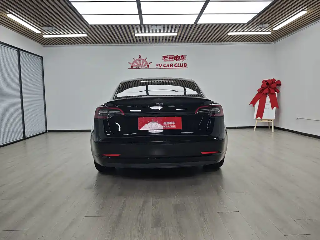 Tesla Model 3 — миниатюра 6