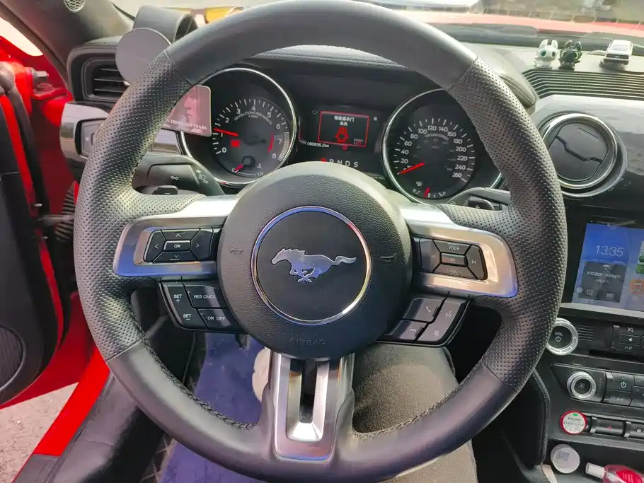 Ford Mustang — миниатюра 15