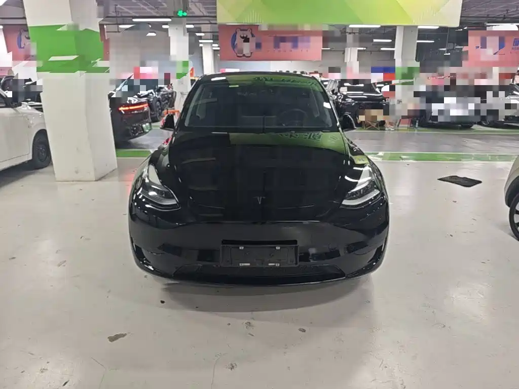 Tesla Model Y — миниатюра 3